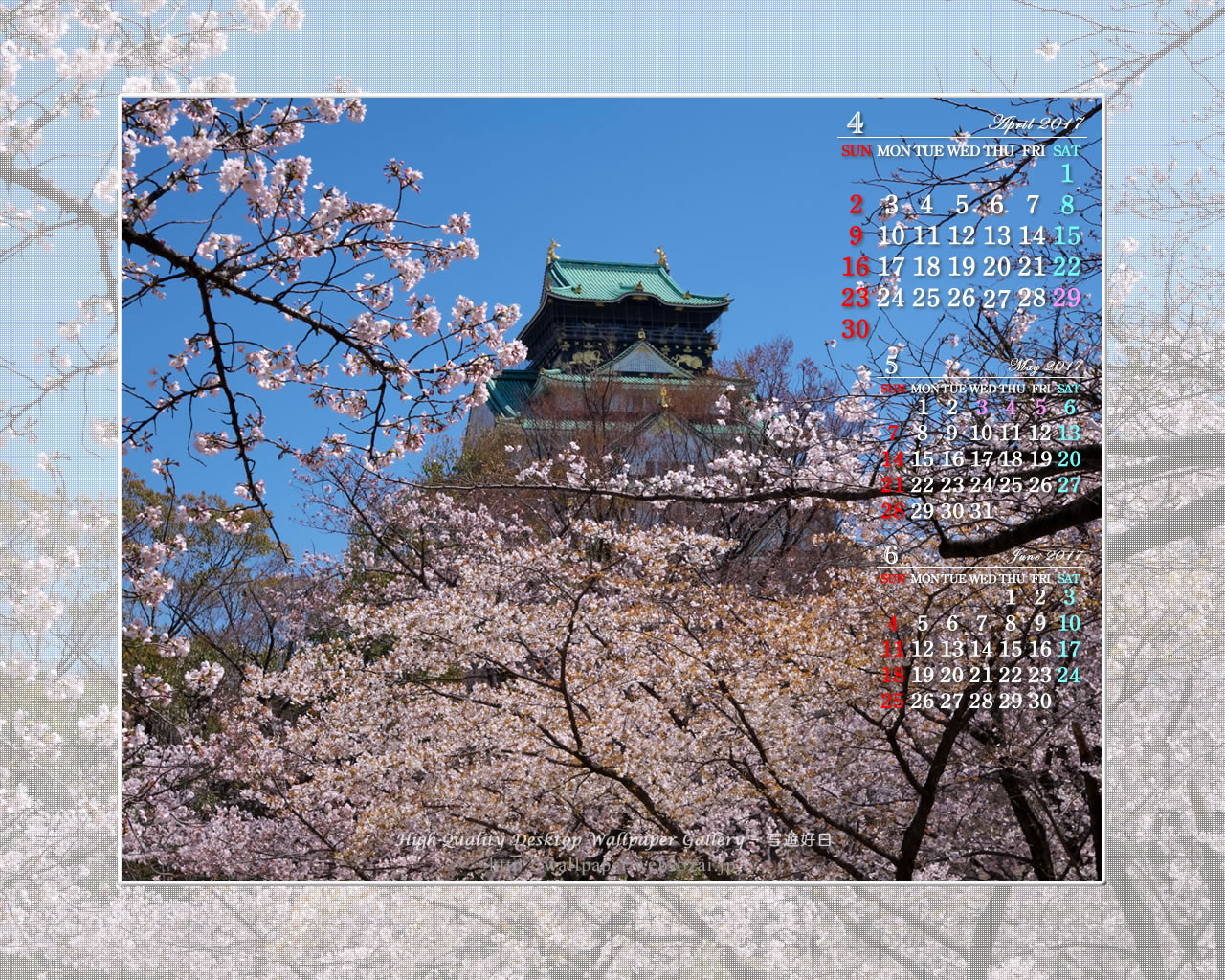 大阪城の桜-1の壁紙／Monthly Wallpaper (1280×1024)