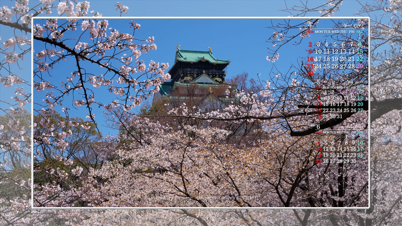 大阪城の桜-1の壁紙／Monthly Wallpaper (1366×768)