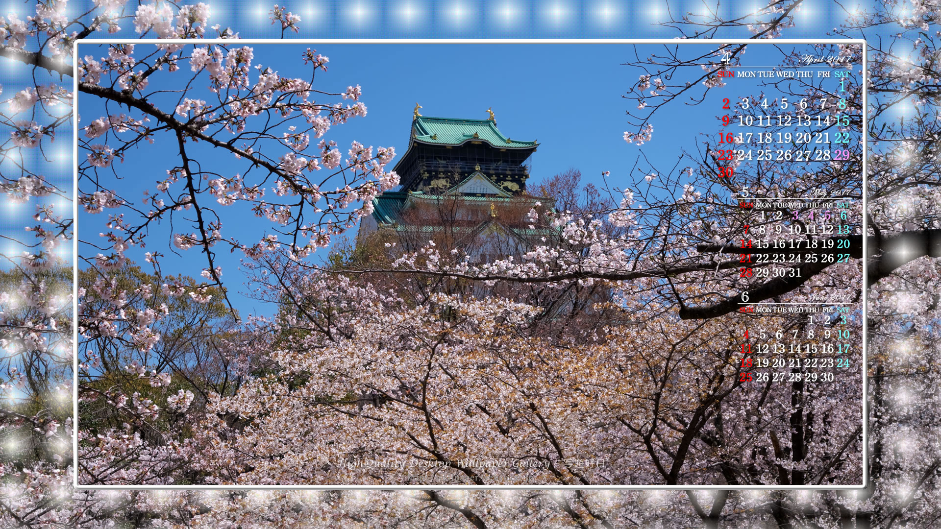 大阪城の桜-1の壁紙／Monthly Wallpaper (1920×1080)