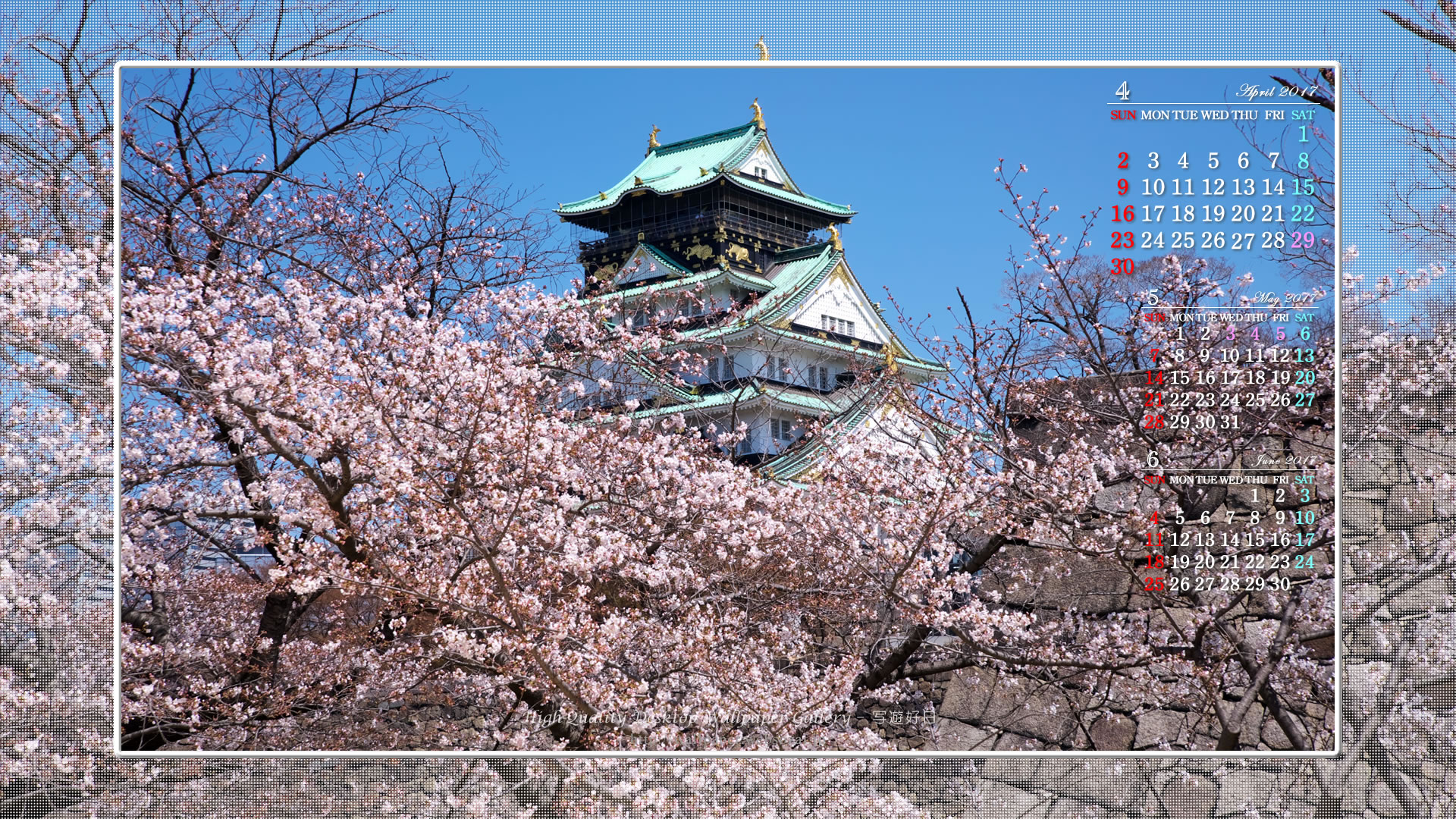 大阪城の桜-2の壁紙／Monthly Wallpaper (1920×1080)