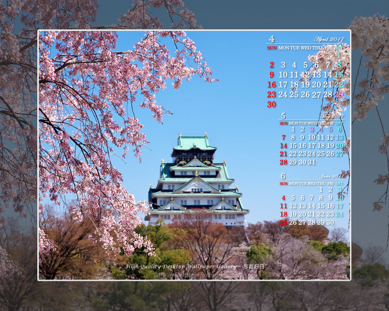 大阪城の桜-3の壁紙／Monthly Wallpaper (1280×1024)