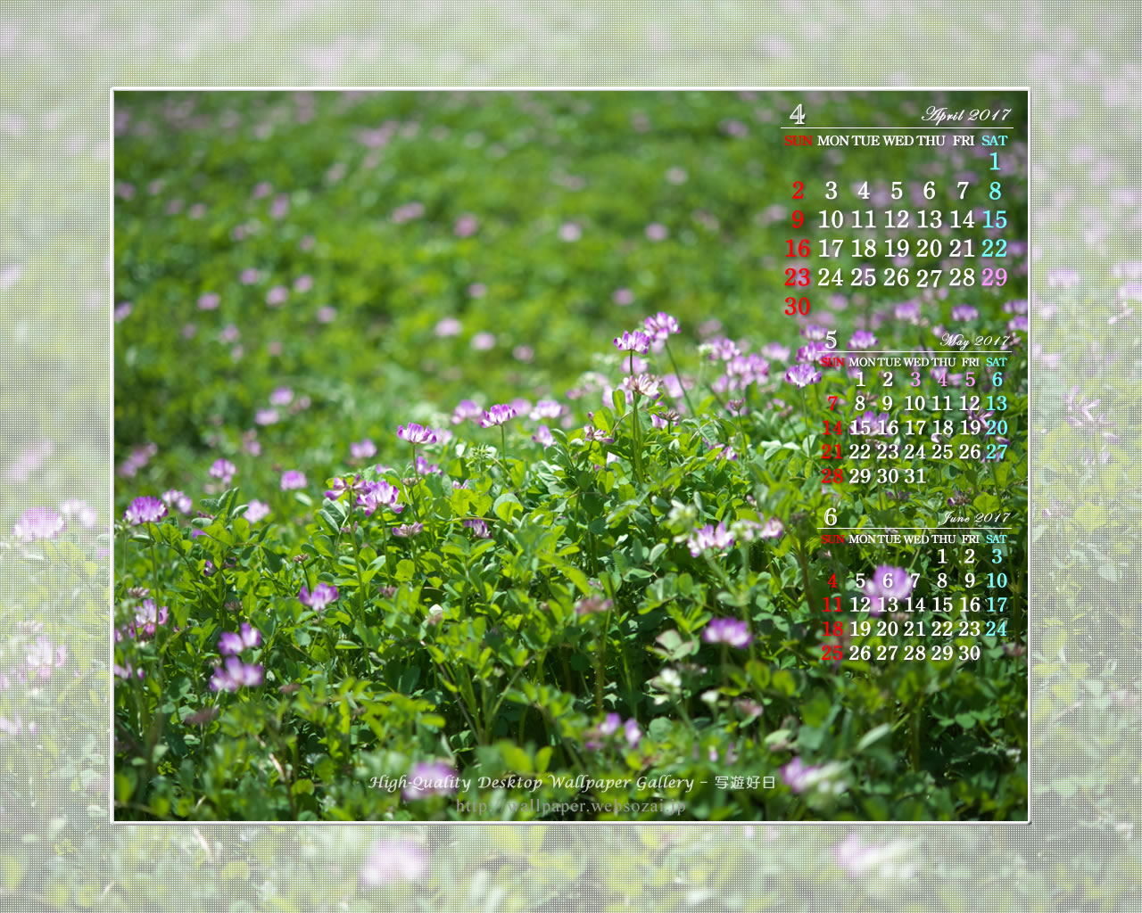 レンゲ畑の壁紙／Monthly Wallpaper (1280×1024)