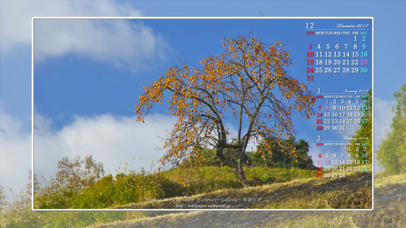丘の上の柿の木の壁紙／Monthly Wallpaper (1366×768)