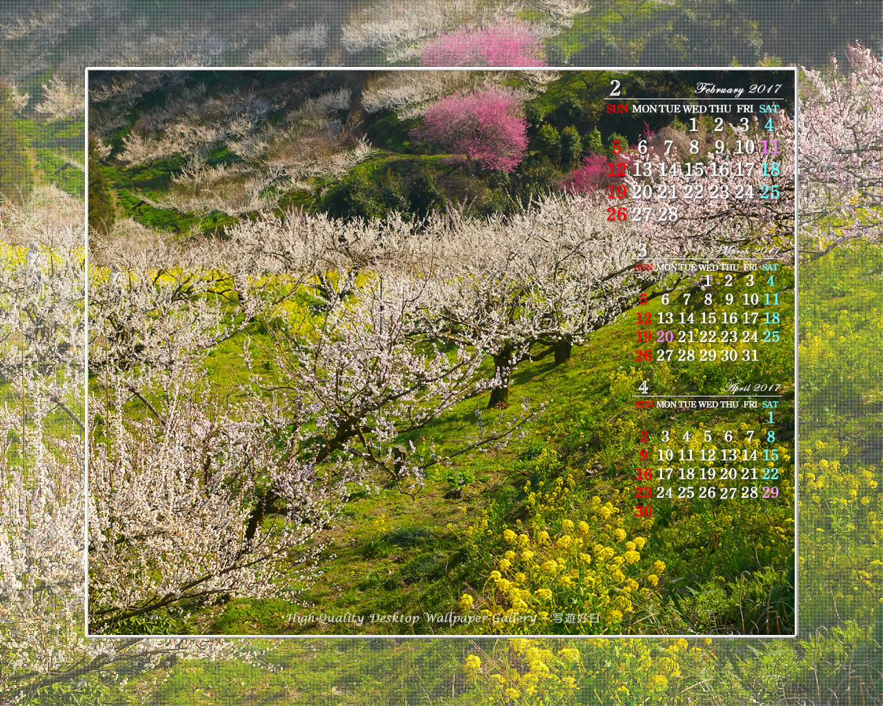 梅園の壁紙／Monthly Wallpaper (1280×1024)