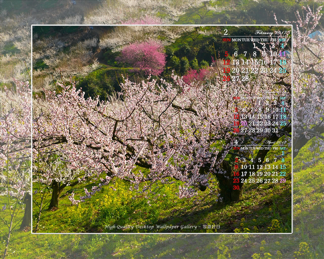 梅園-2の壁紙／Monthly Wallpaper (1280×1024)