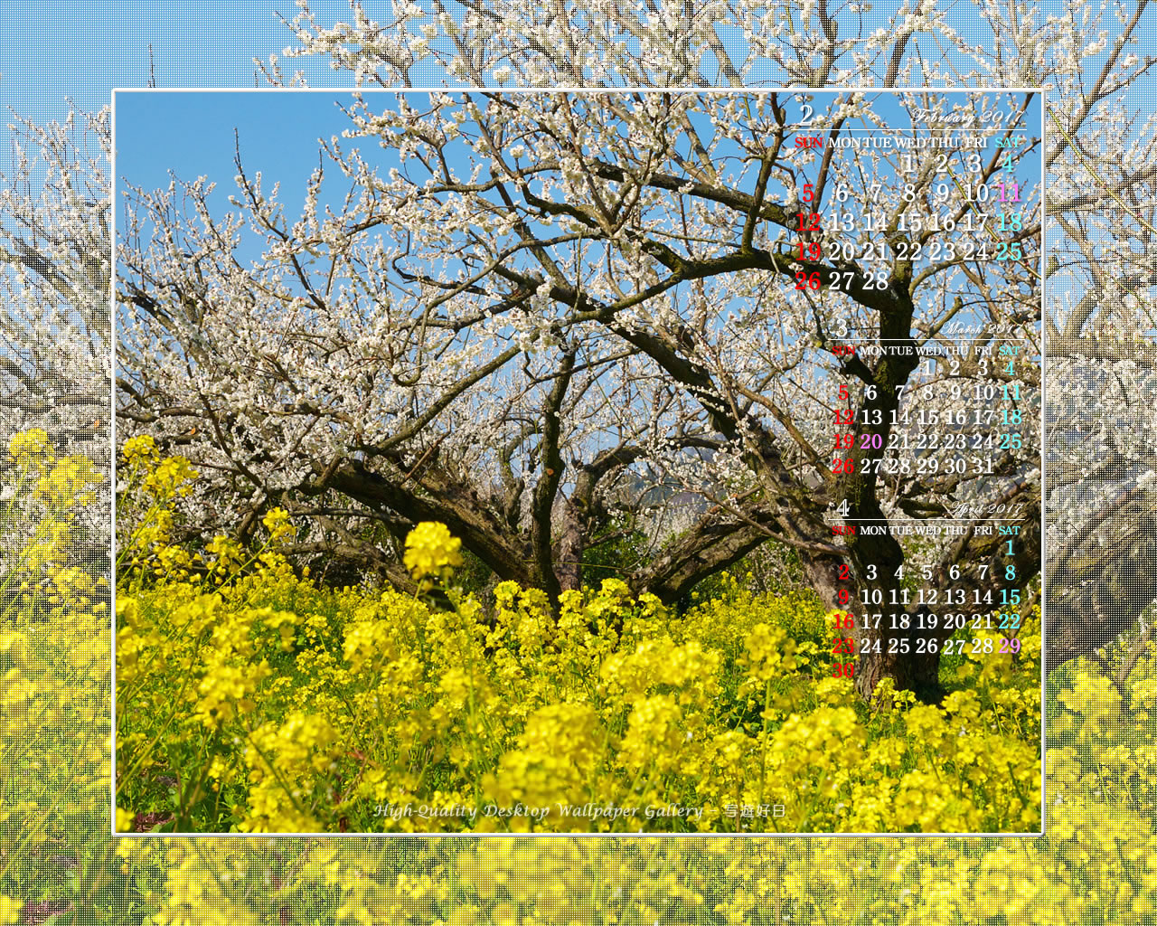 梅園の菜の花の壁紙／Monthly Wallpaper (1280×1024)