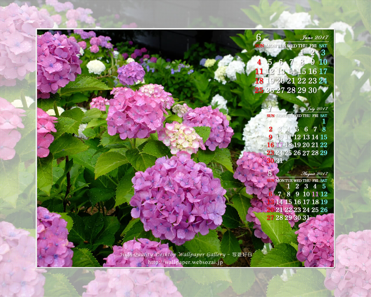 紫陽花-5の壁紙／Monthly Wallpaper (1280×1024)
