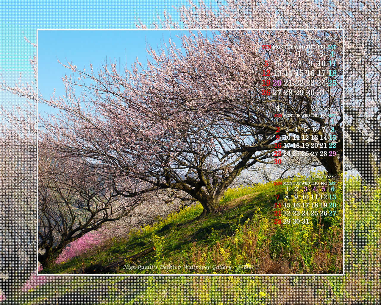 春の梅園の壁紙／Monthly Wallpaper (1280×1024)