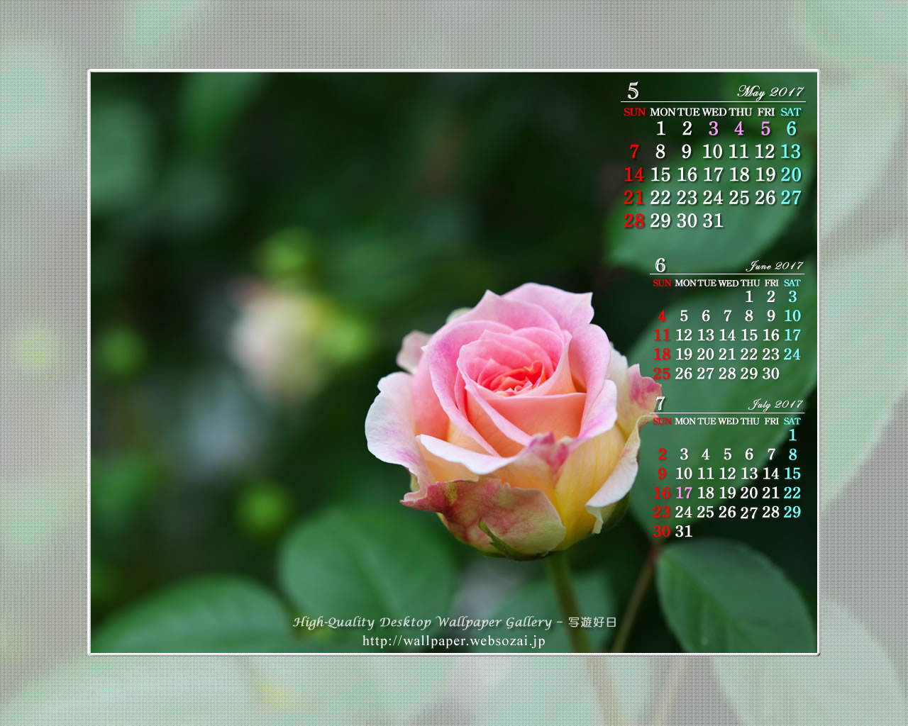 薔薇の壁紙／Monthly Wallpaper (1280×1024)