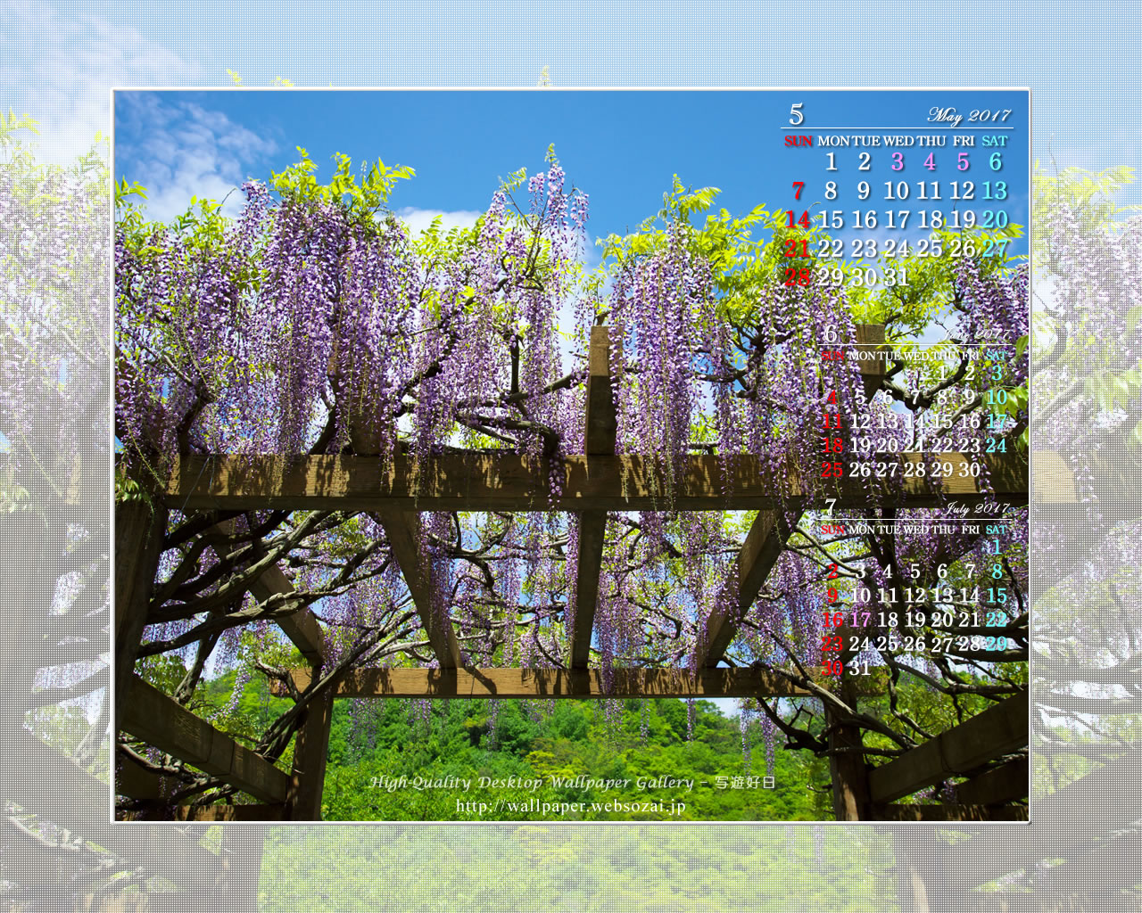 藤の花-3の壁紙／Monthly Wallpaper (1280×1024)