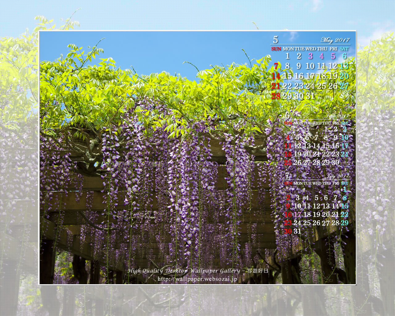 藤の花-5の壁紙／Monthly Wallpaper (1280×1024)