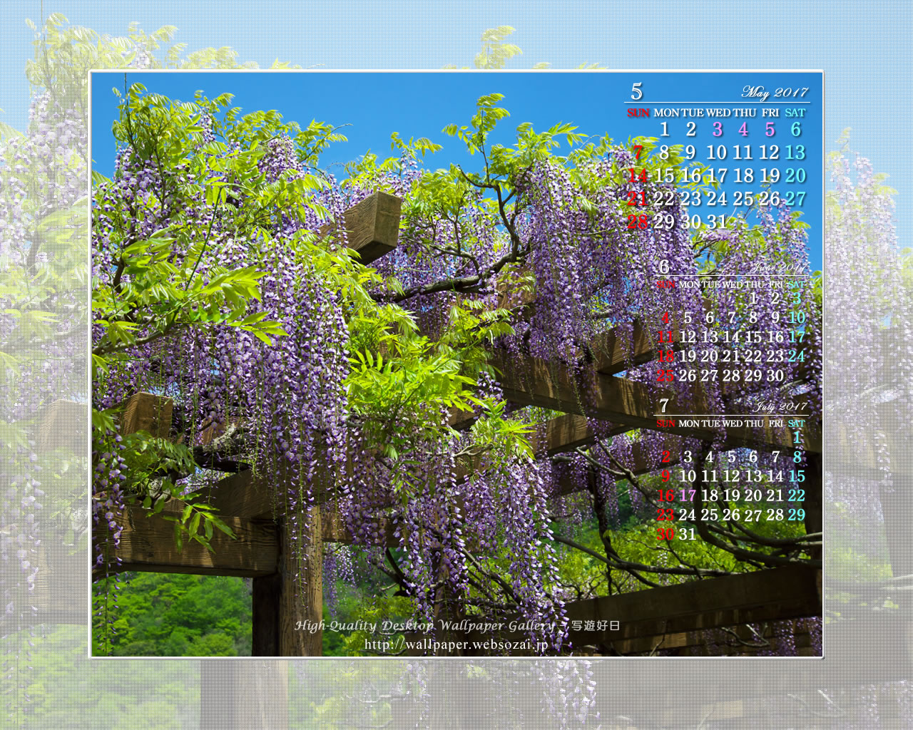 藤の花-6の壁紙／Monthly Wallpaper (1280×1024)