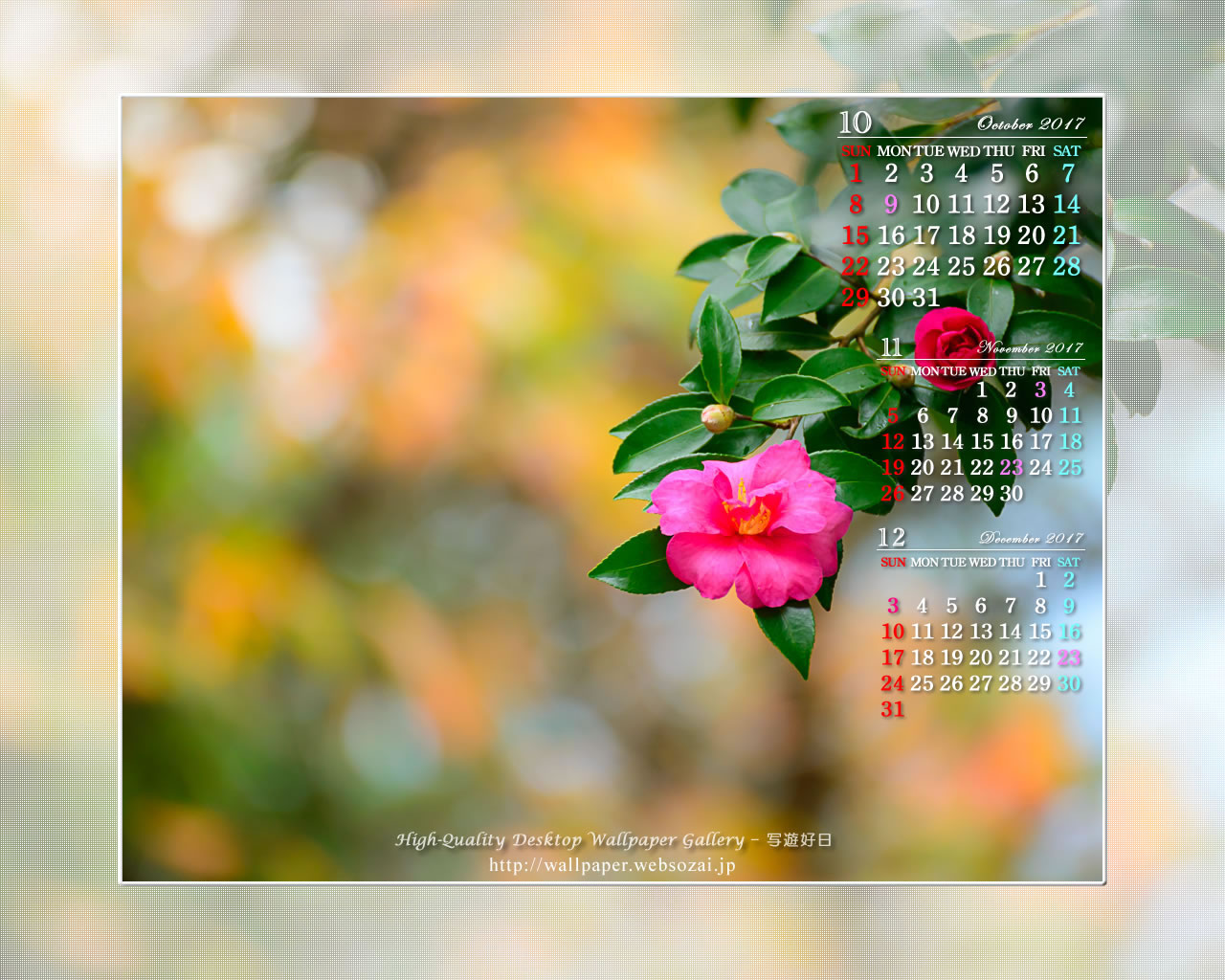 秋色の中の山茶花の壁紙／Monthly Wallpaper (1280×1024)