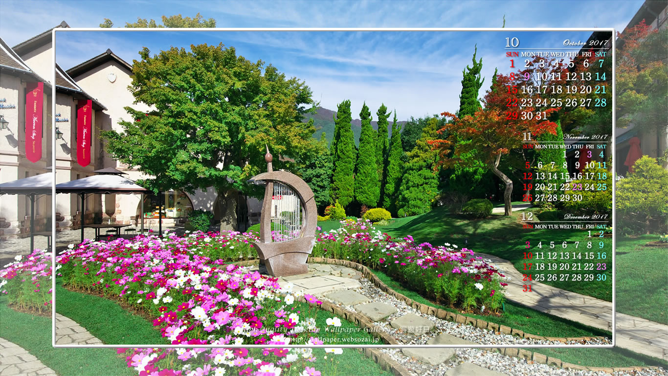 コスモスの咲く庭の壁紙／Monthly Wallpaper (1366×768)