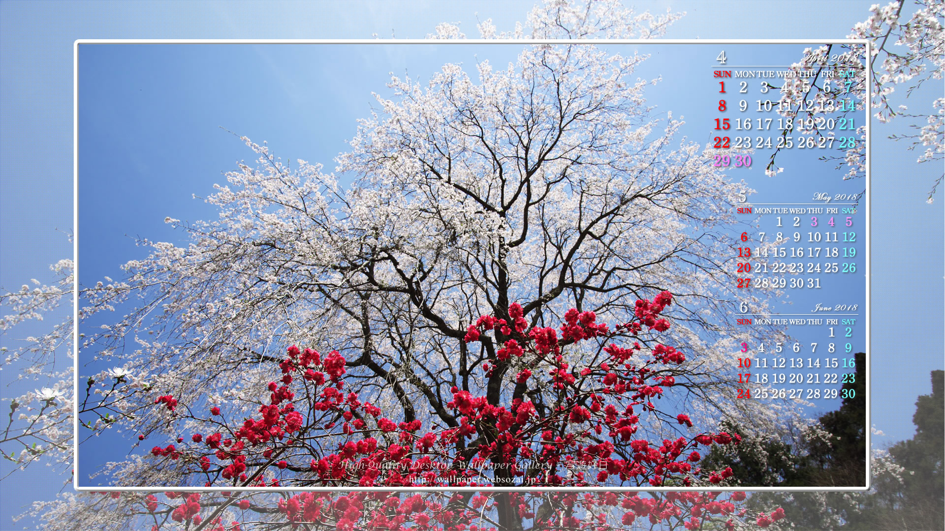山里の枝垂桜の壁紙／Monthly Wallpaper (1920×1080)