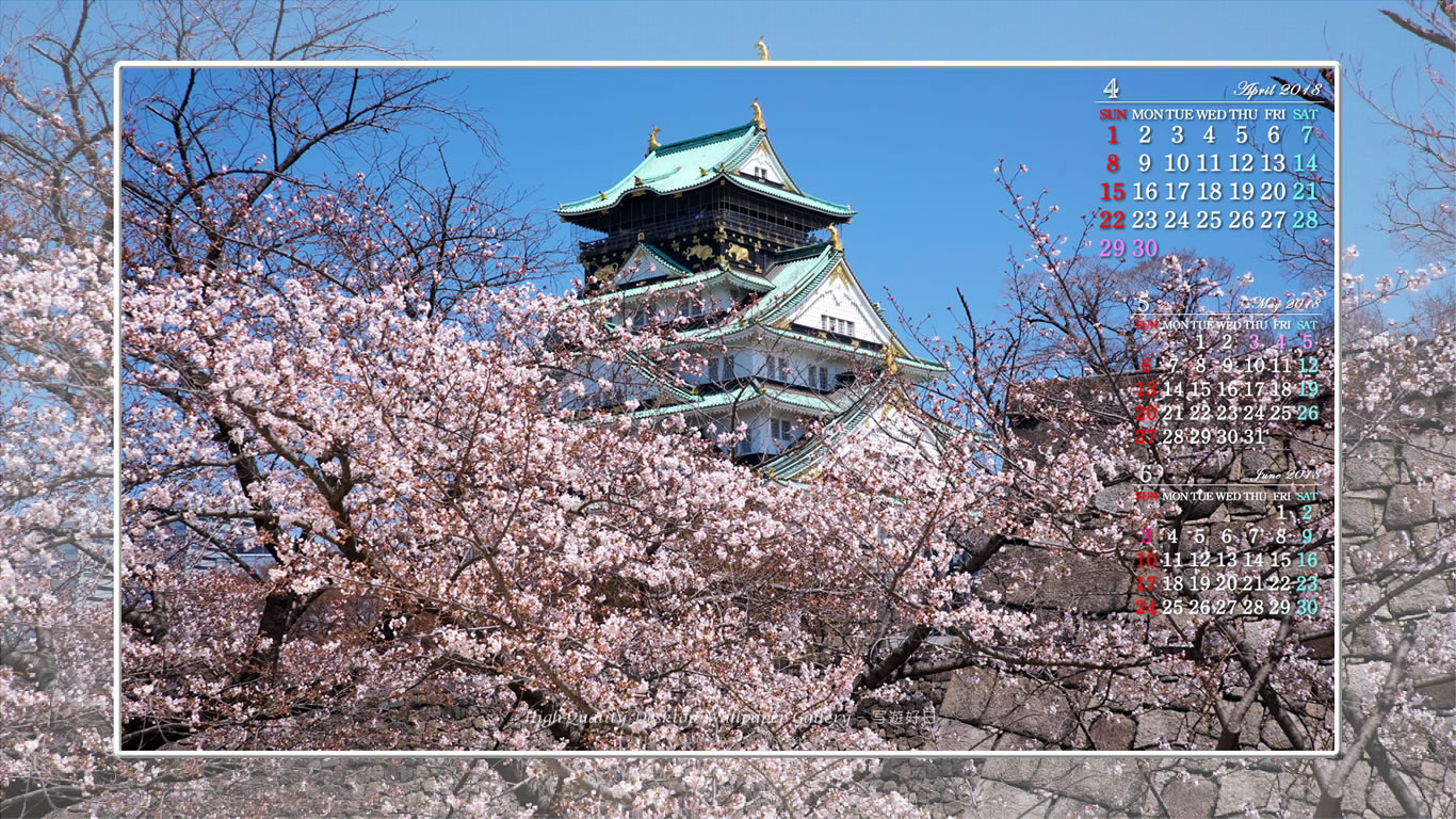 大阪城の桜の壁紙／Monthly Wallpaper (1366×768)