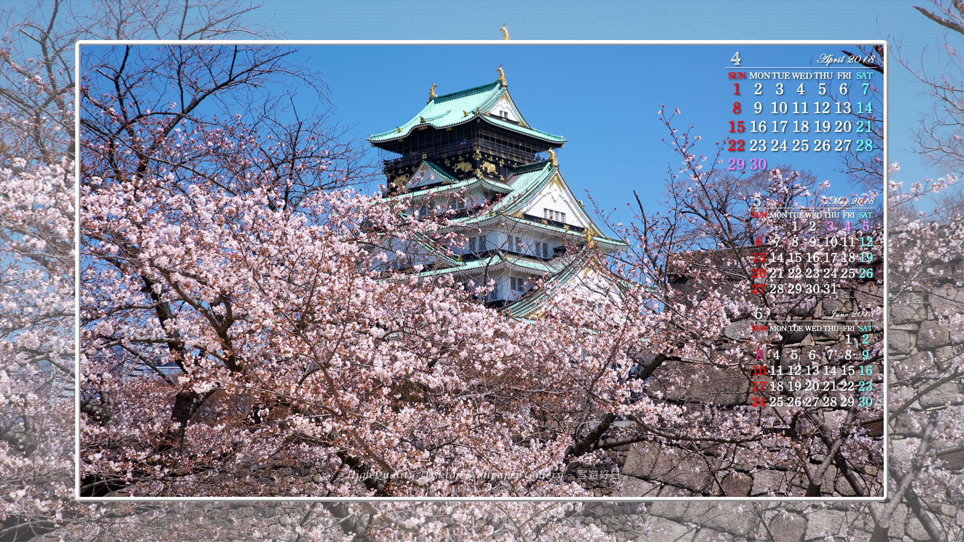 大阪城の桜の壁紙／Monthly Wallpaper (1920×1080)
