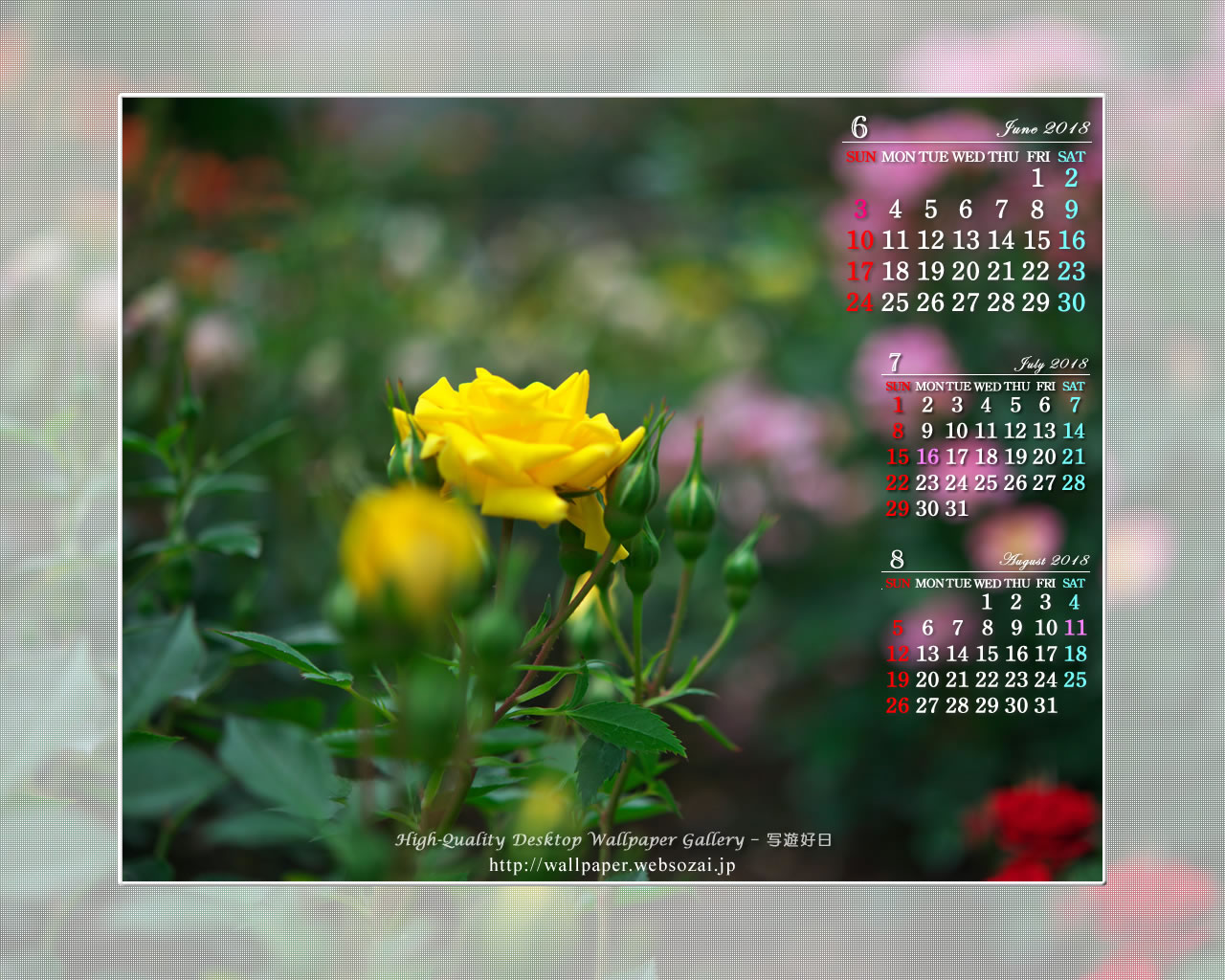 黄色い薔薇の壁紙／Monthly Wallpaper (1280×1024)