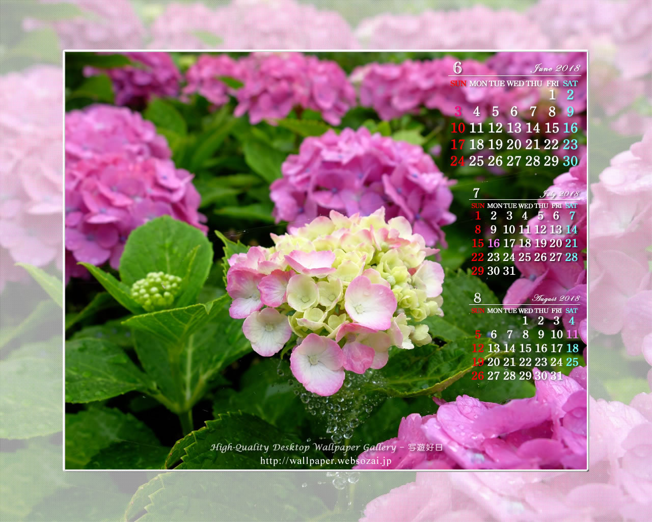 紫陽花-2の壁紙／Monthly Wallpaper (1280×1024)