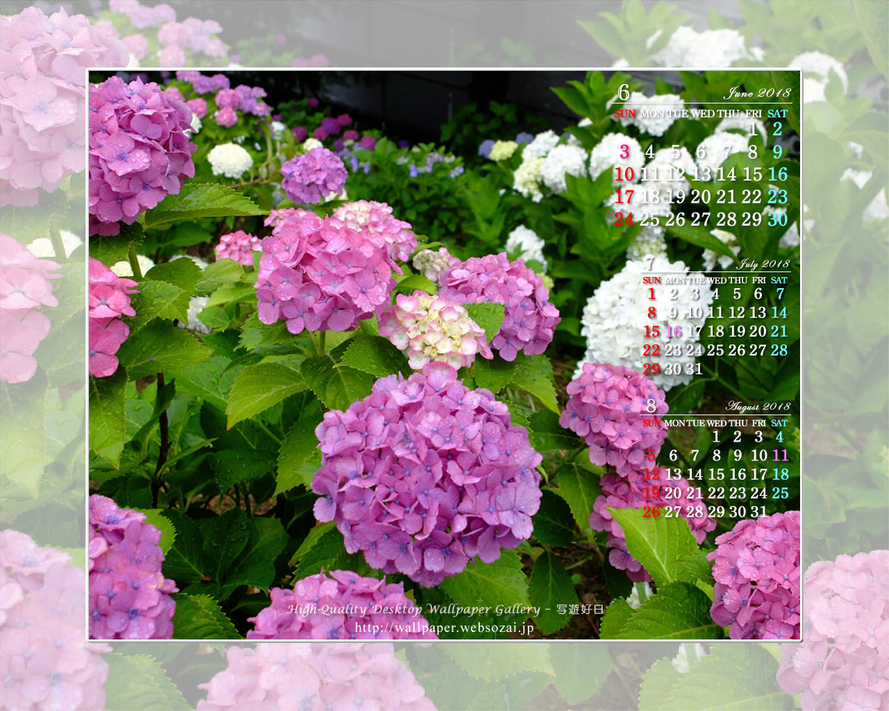紫陽花-4の壁紙／Monthly Wallpaper (1280×1024)
