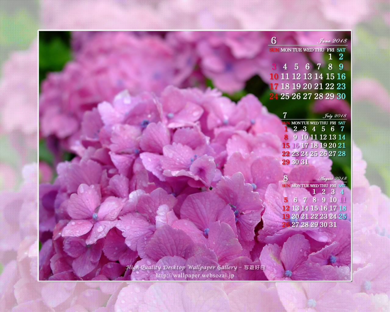 紫陽花-6の壁紙／Monthly Wallpaper (1280×1024)