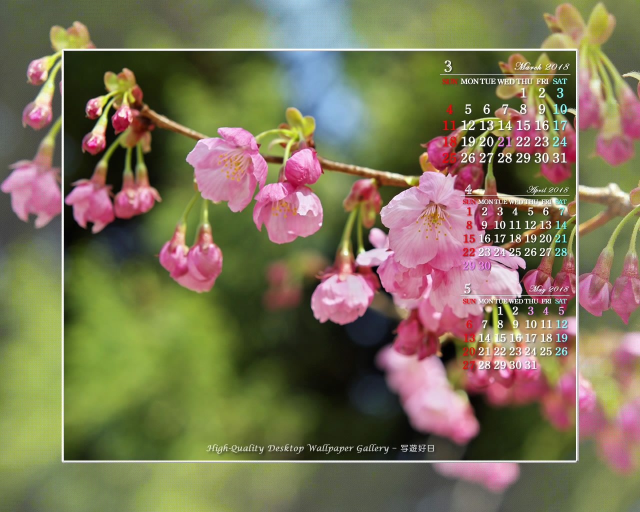18年3月のカレンダー壁紙 桜 さくら サクラ 2 高画質デスクトップ壁紙館 写遊好日