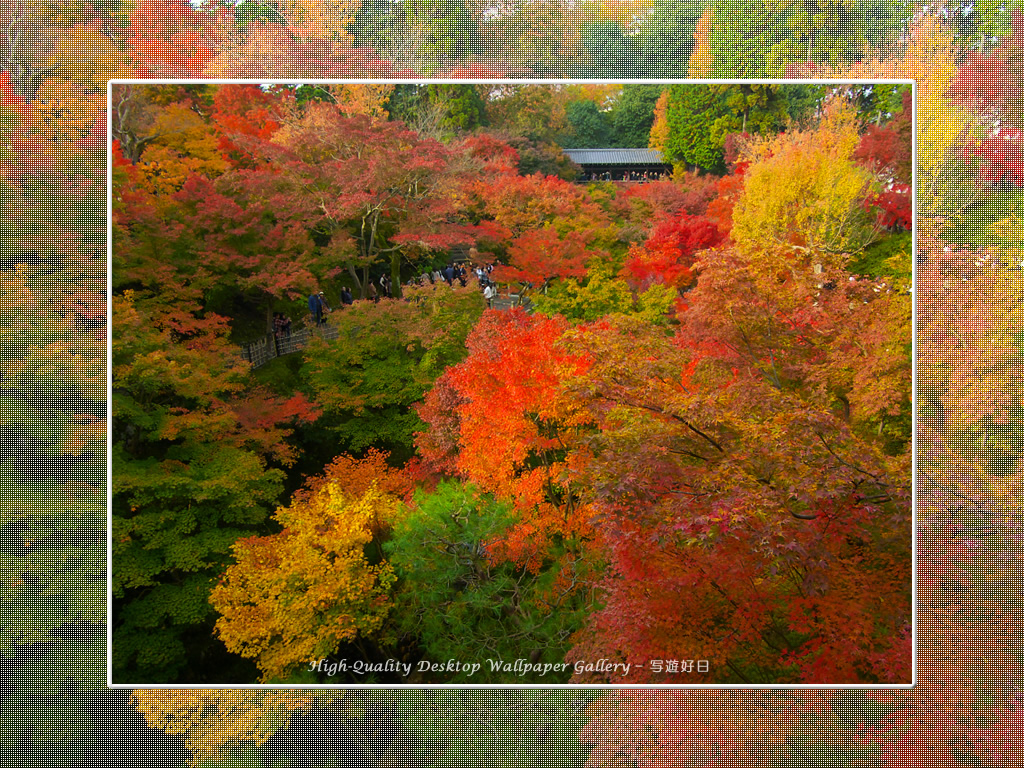 東福寺の紅葉（２）の壁紙／Wallpaper of Kyoto in Autumn (1024×768)