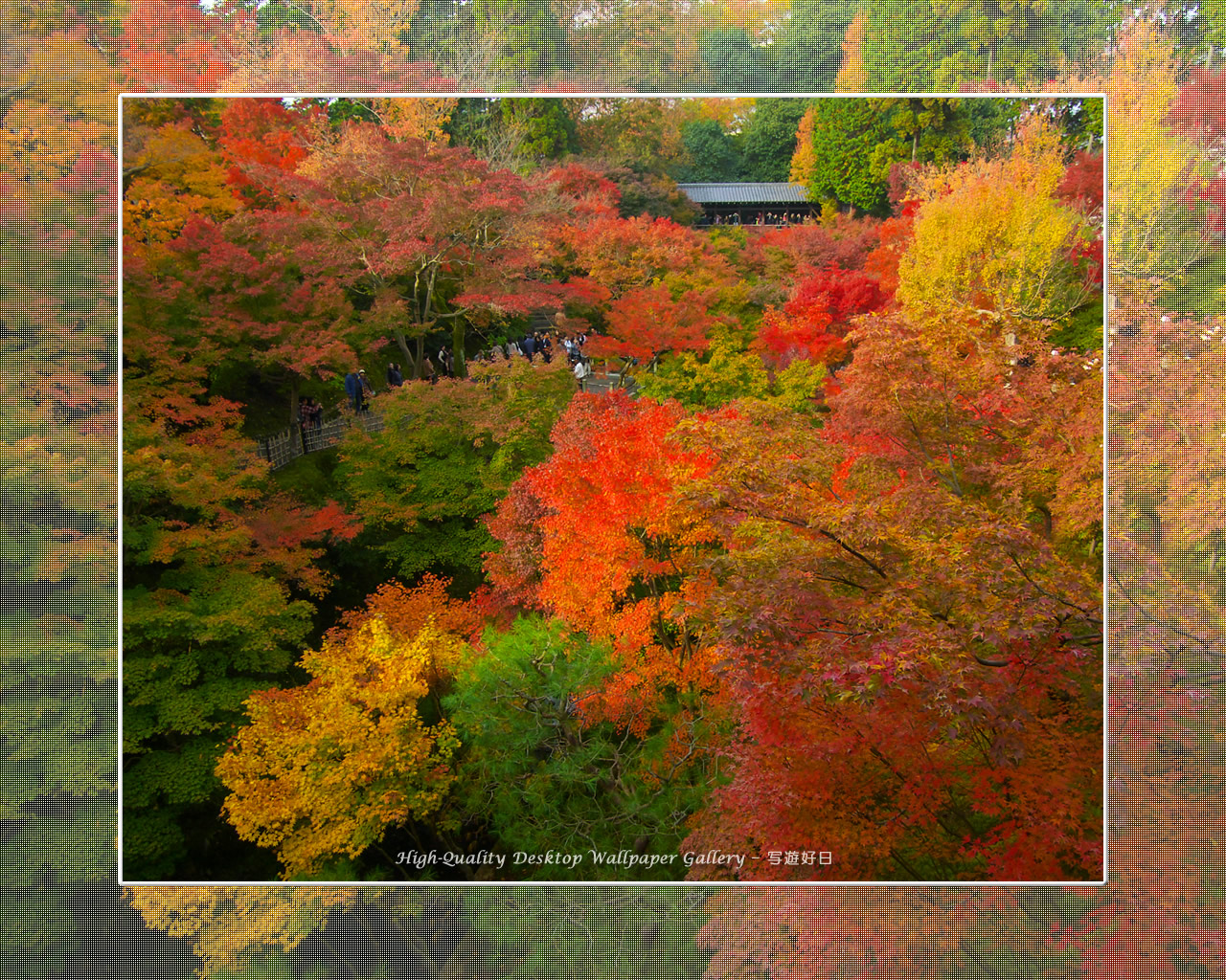 東福寺の紅葉（２）の壁紙／Wallpaper of Kyoto in Autumn (1280×1024)