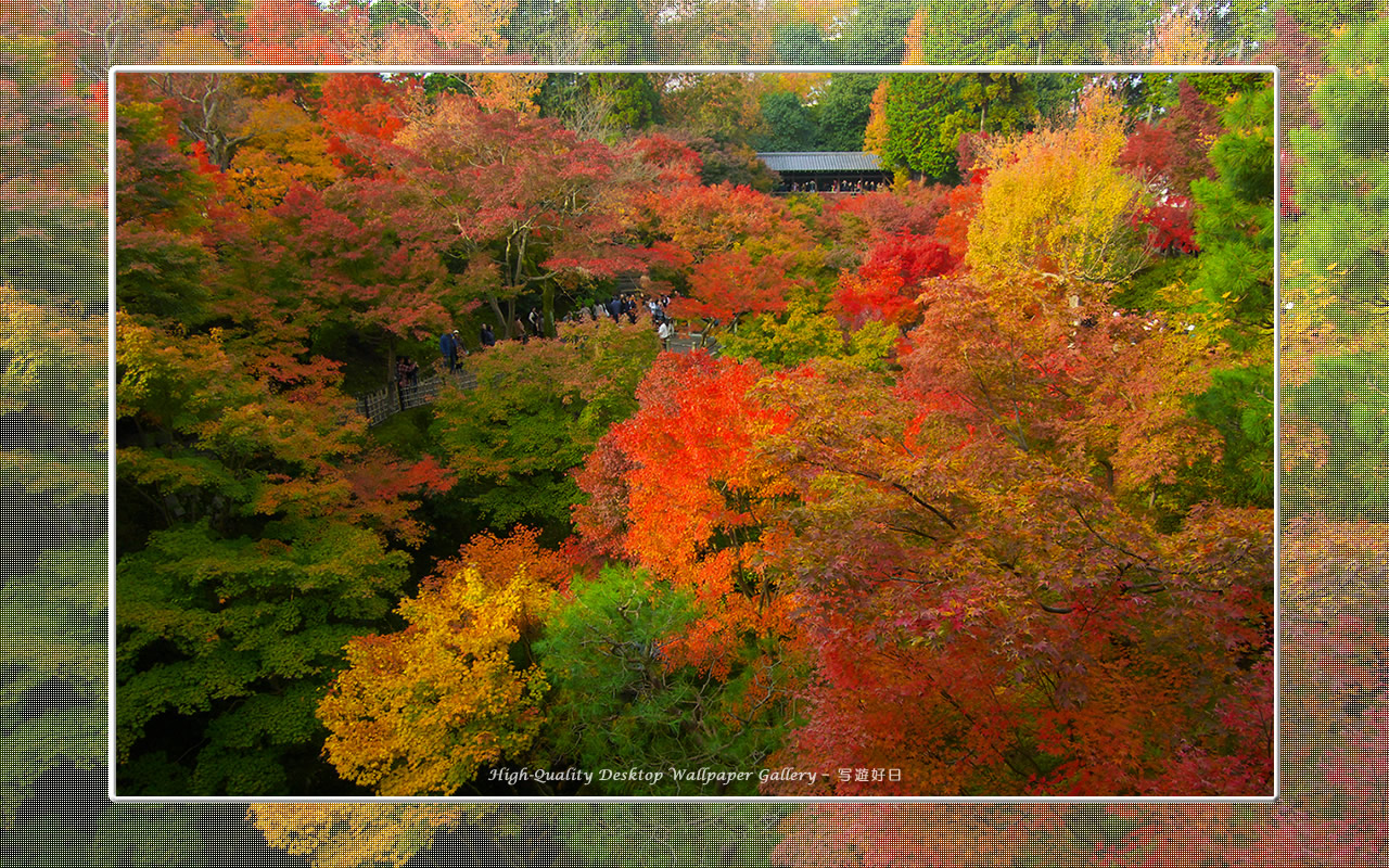 東福寺の紅葉（２）の壁紙／Wallpaper of Kyoto in Autumn (1280×800)