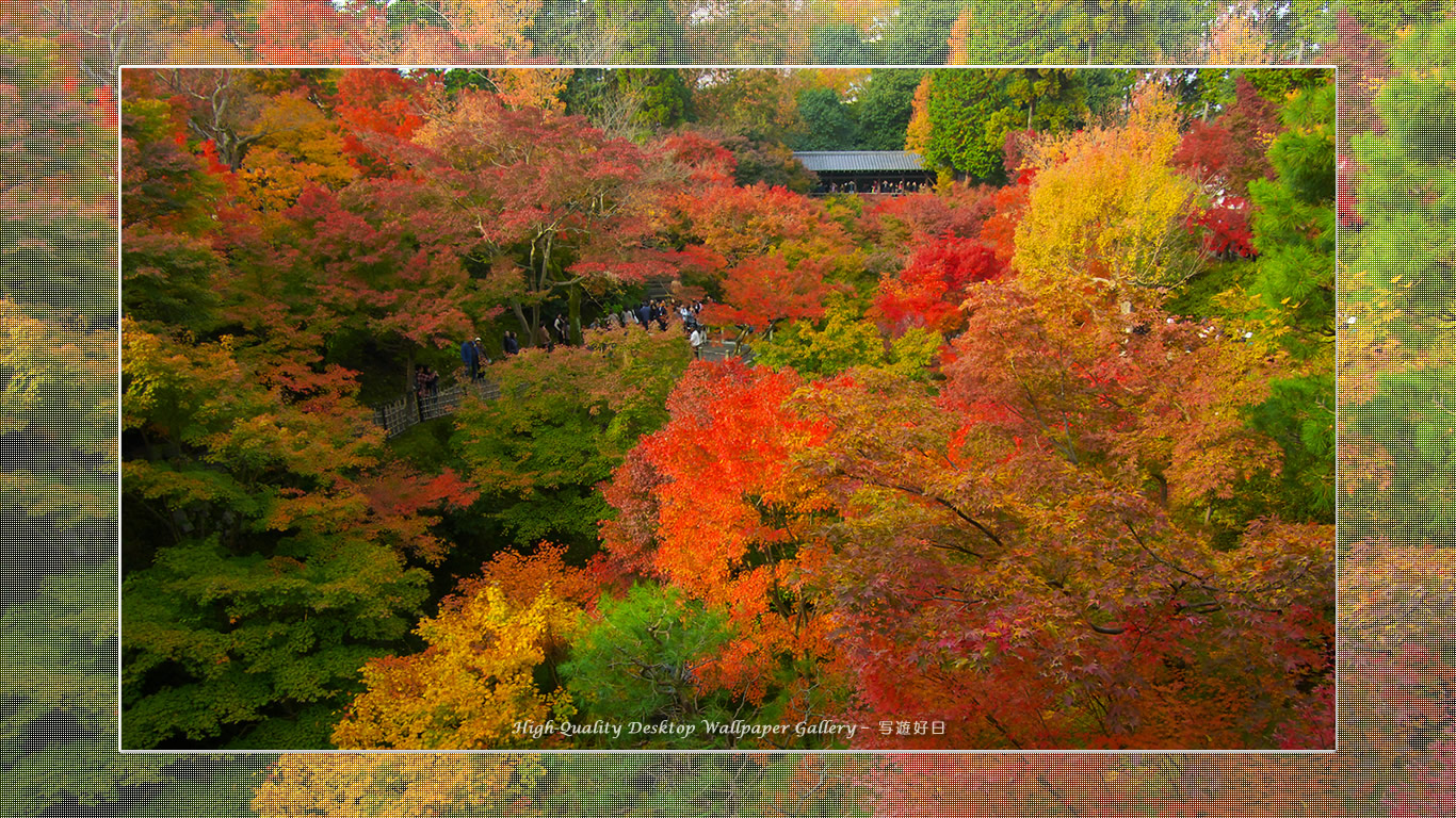 東福寺の紅葉（２）の壁紙／Wallpaper of Title in Kyoto in Autumn (1366×768)