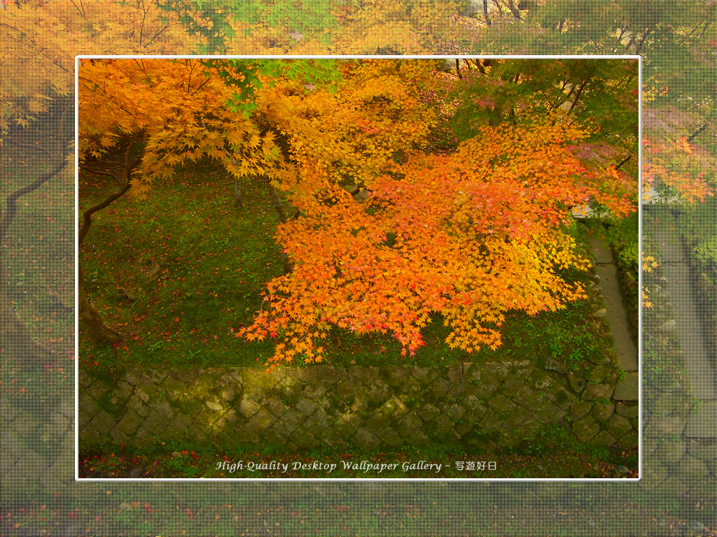 東福寺の紅葉（４）の壁紙／Wallpaper of Kyoto in Autumn (1024×768)