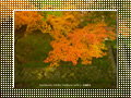 「東福寺の紅葉」のダウンロードページ｜Go to the download page of Autumn in Kyoto (5)