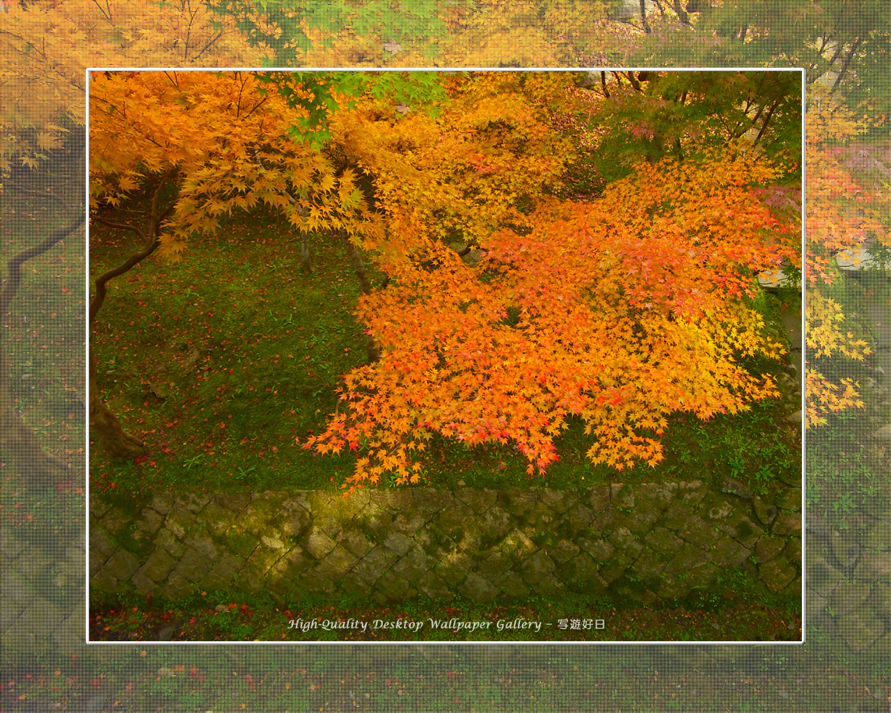 東福寺の紅葉（４）の壁紙／Wallpaper of Kyoto in Autumn (1280×1024)