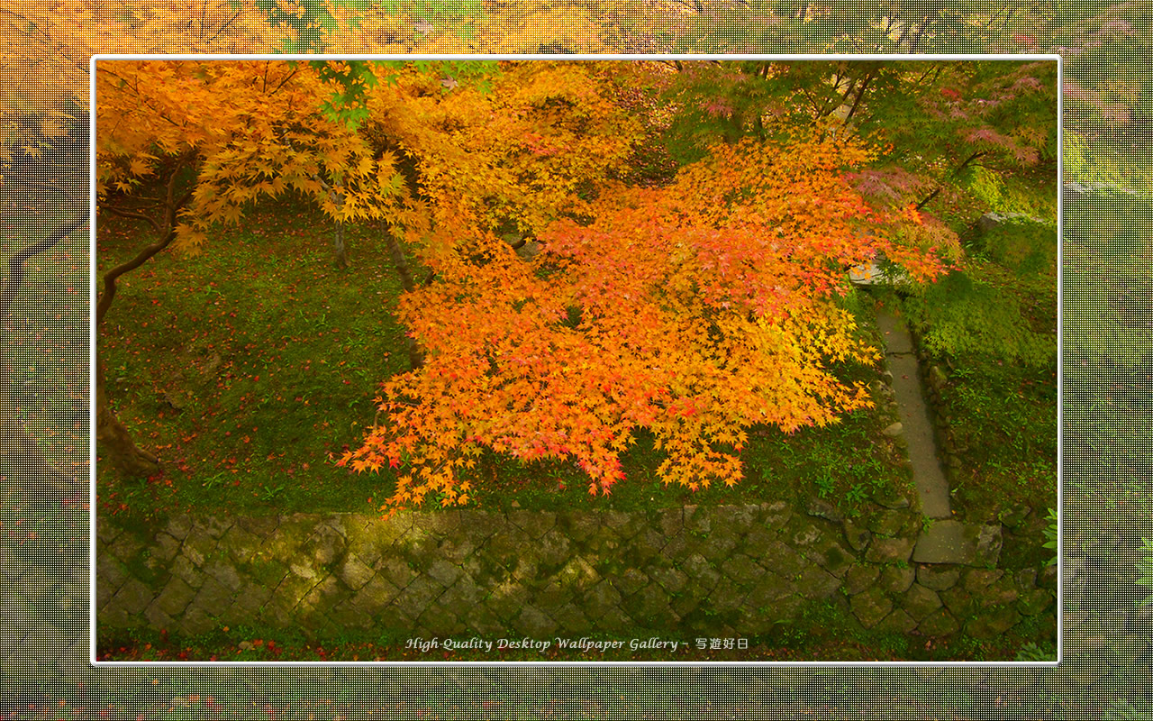 東福寺の紅葉（４）の壁紙／Wallpaper of Kyoto in Autumn (1280×800)