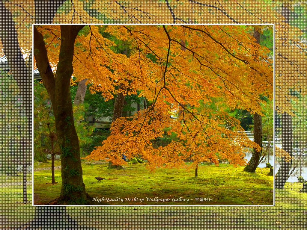 南禅寺（１）の壁紙／Wallpaper of Kyoto in Autumn (1024×768)
