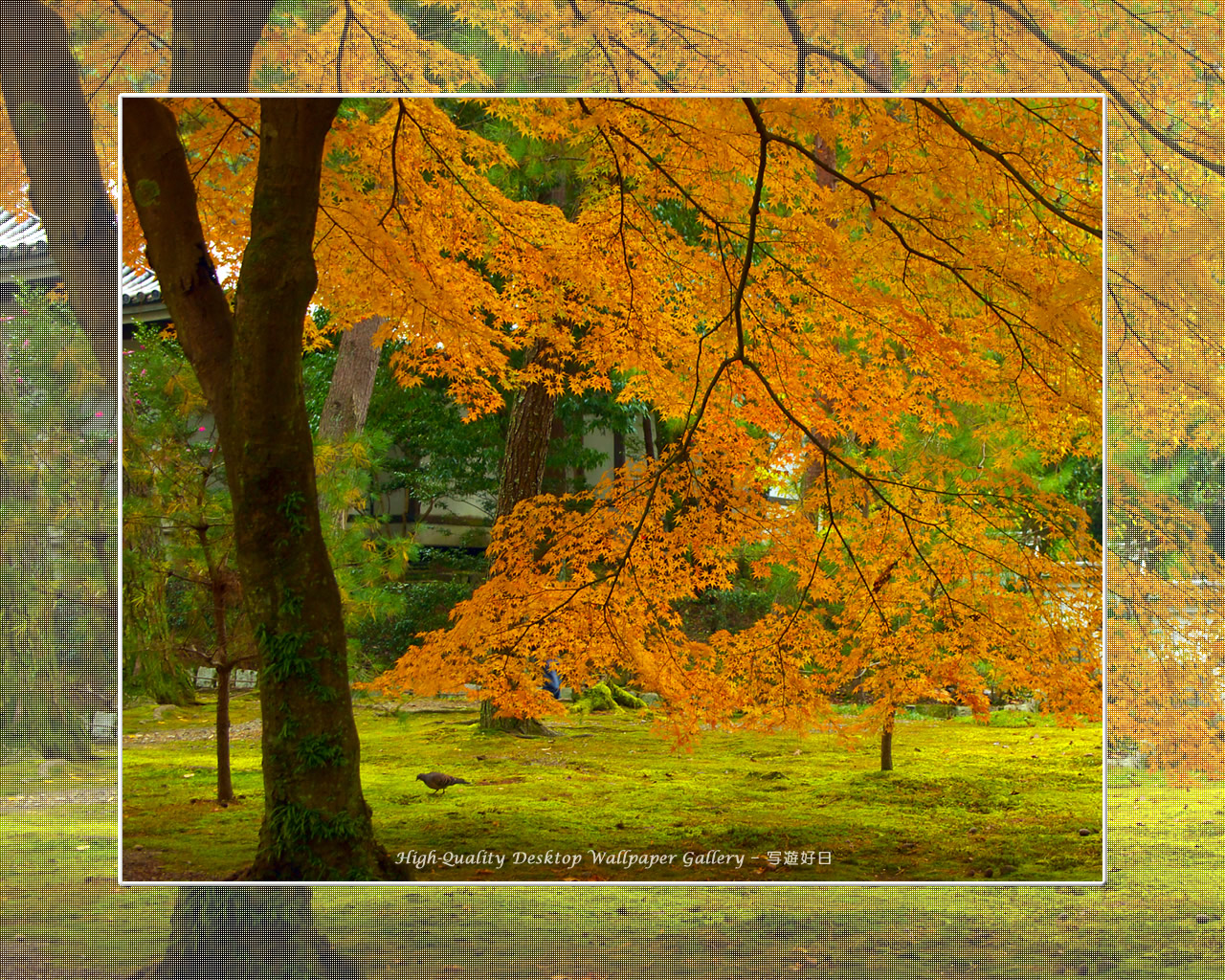 南禅寺（１）の壁紙／Wallpaper of Kyoto in Autumn (1280×1024)