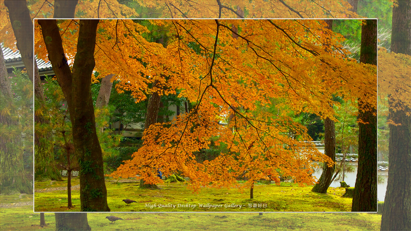 南禅寺（１）の壁紙／Wallpaper of Title in Kyoto in Autumn (1366×768)