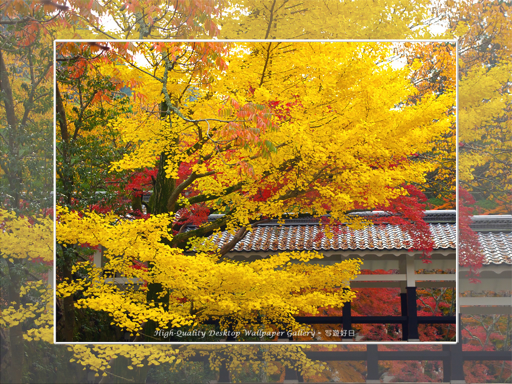 南禅寺（２）の壁紙／Wallpaper of Kyoto in Autumn (1024×768)