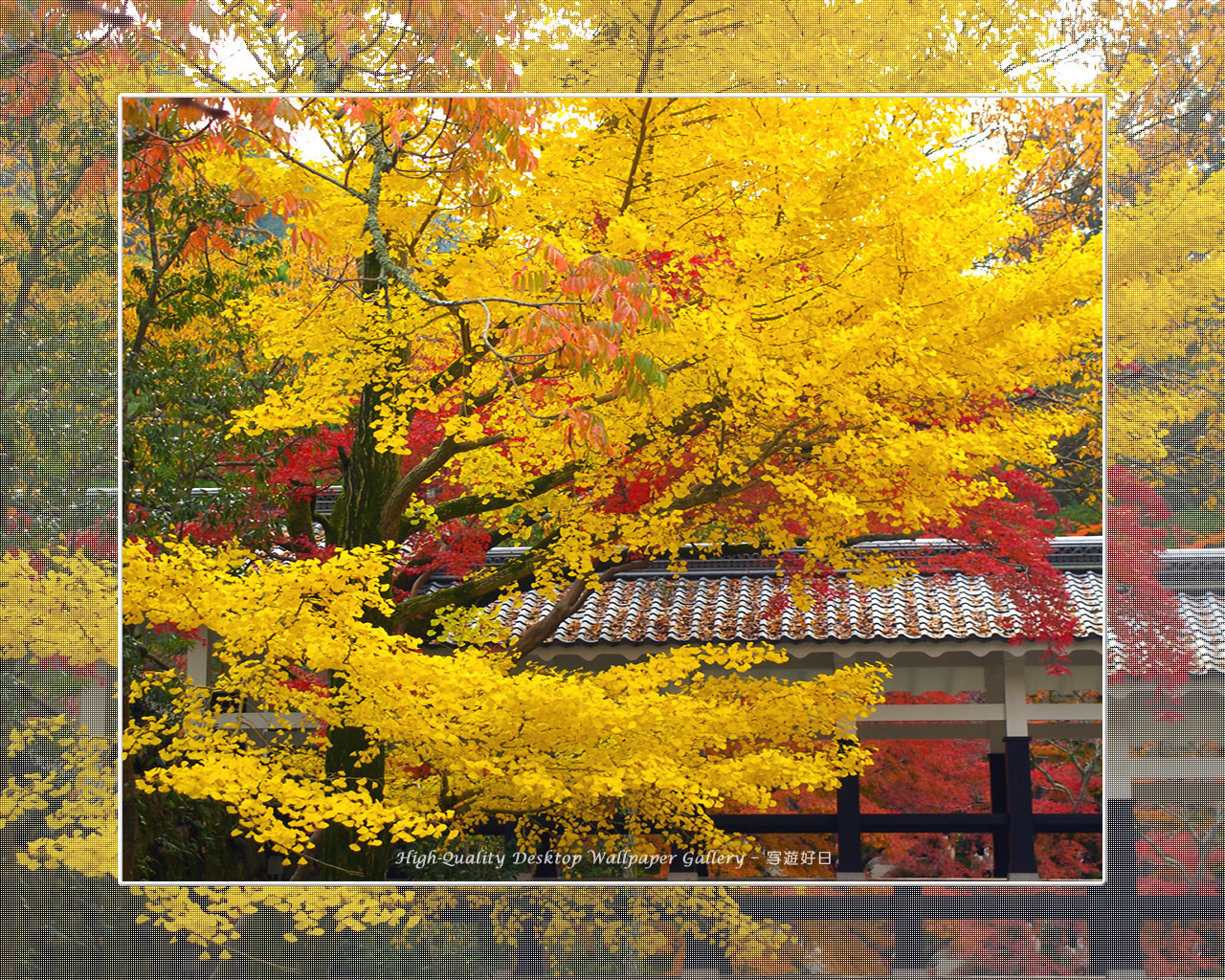 南禅寺（２）の壁紙／Wallpaper of Kyoto in Autumn (1280×1024)