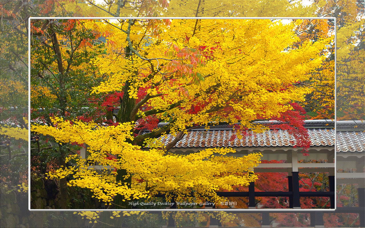 南禅寺（２）の壁紙／Wallpaper of Kyoto in Autumn (1280×800)