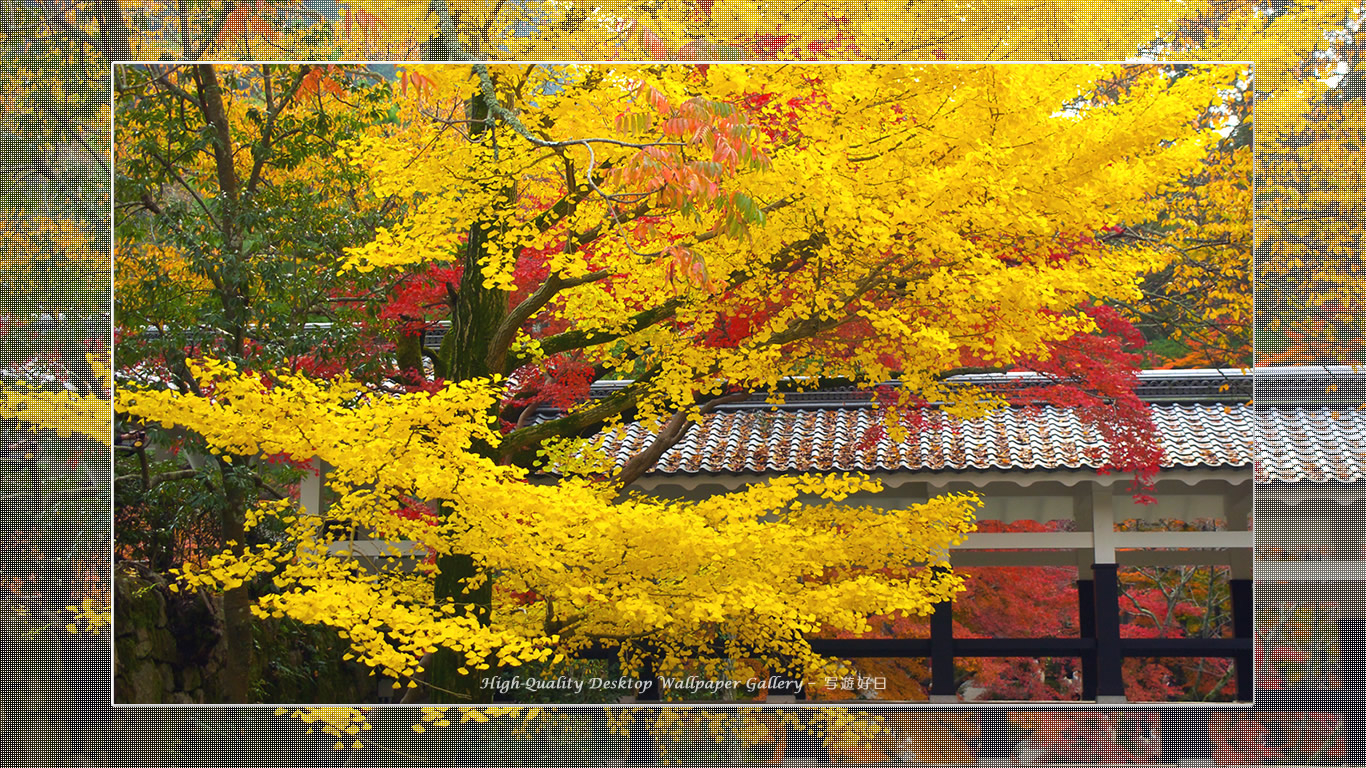 南禅寺（２）の壁紙／Wallpaper of Title in Kyoto in Autumn (1366×768)