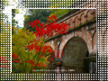 「南禅寺の紅葉」のダウンロードページ｜Go to the download page of Autumn in Kyoto (4)