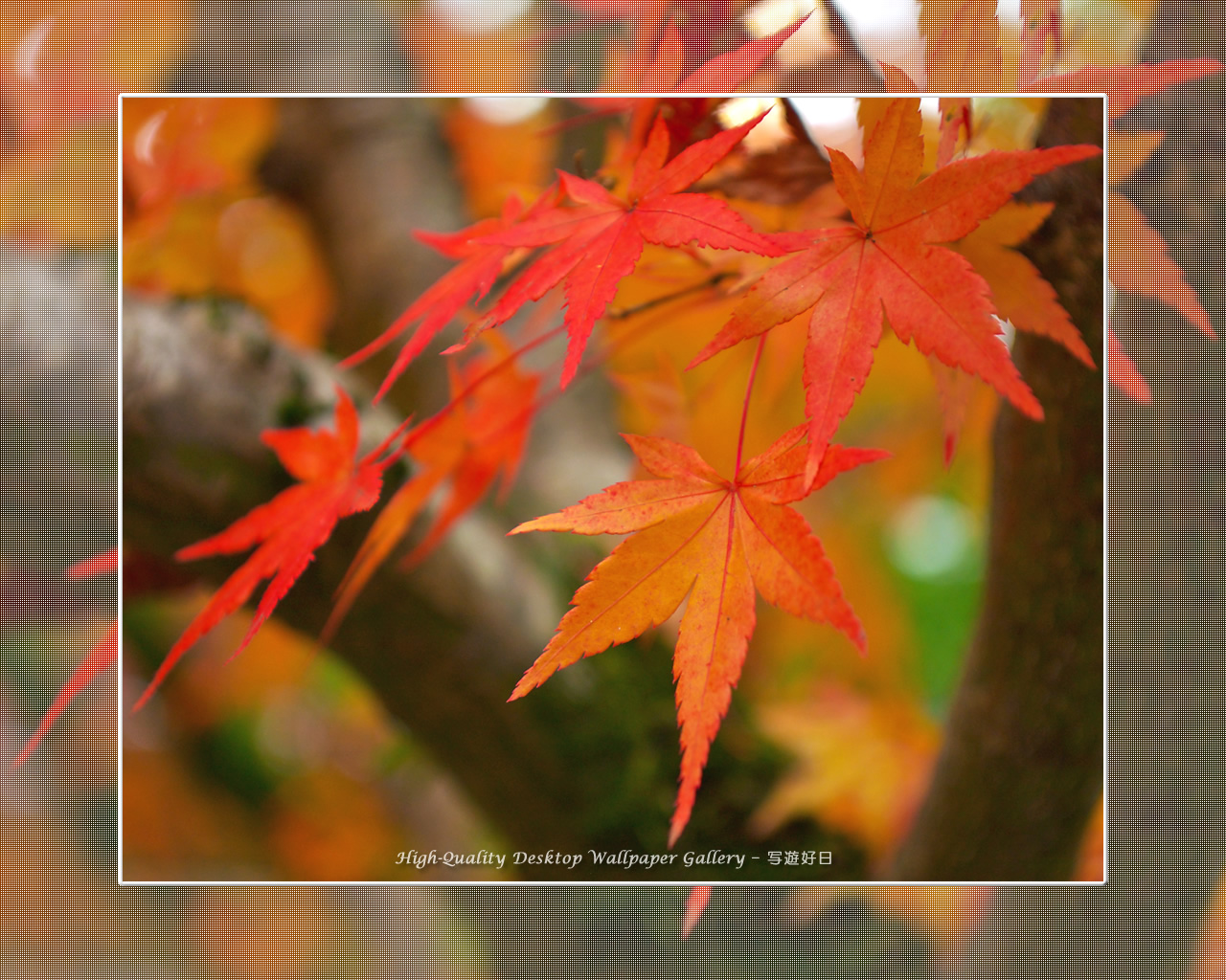 南禅寺（５）の壁紙／Wallpaper of Kyoto in Autumn (1280×1024)