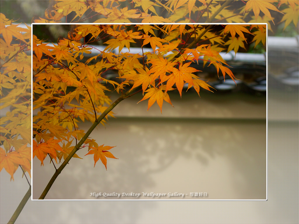永観堂（１）の壁紙／Wallpaper of Kyoto in Autumn (1024×768)