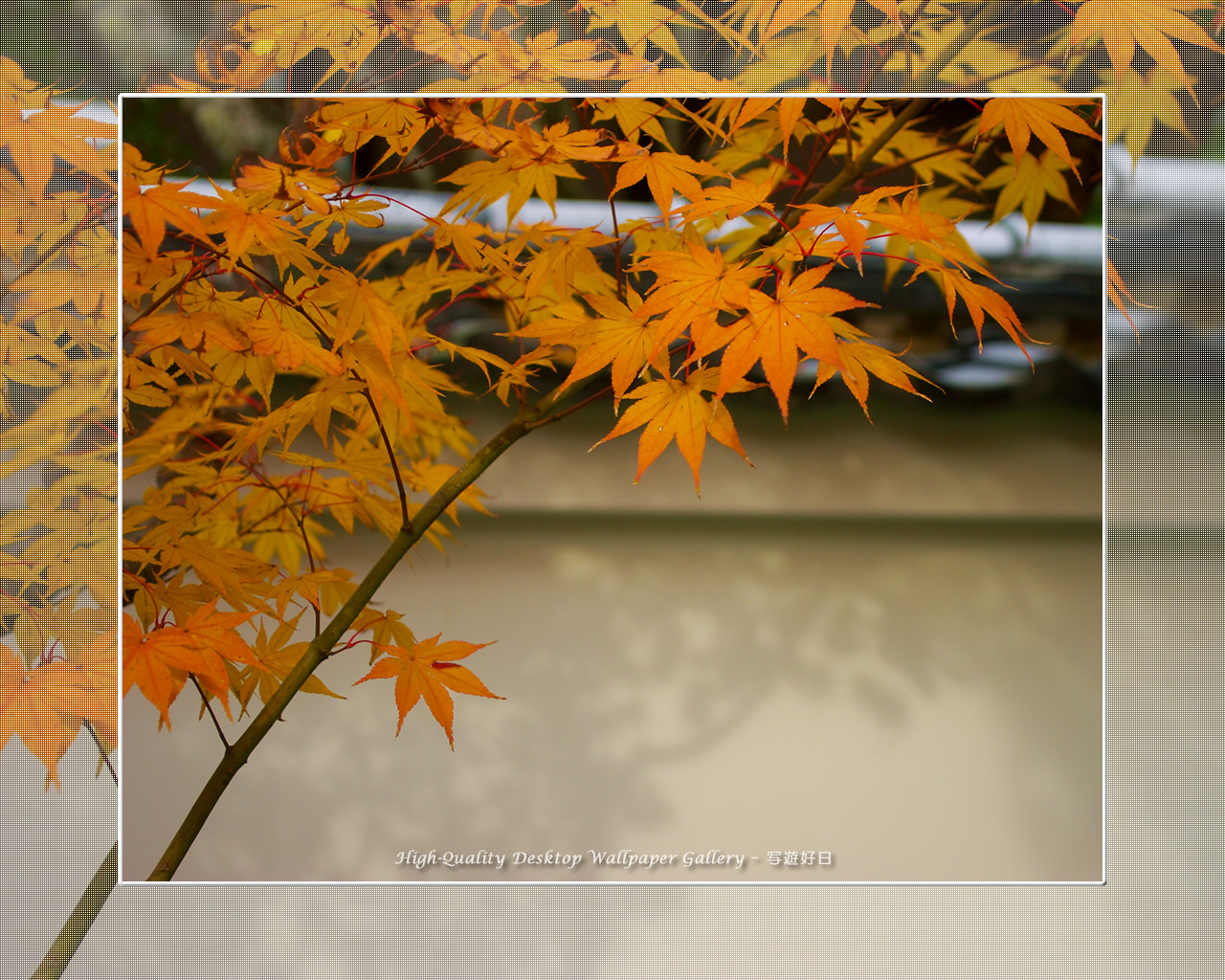 永観堂（１）の壁紙／Wallpaper of Kyoto in Autumn (1280×1024)