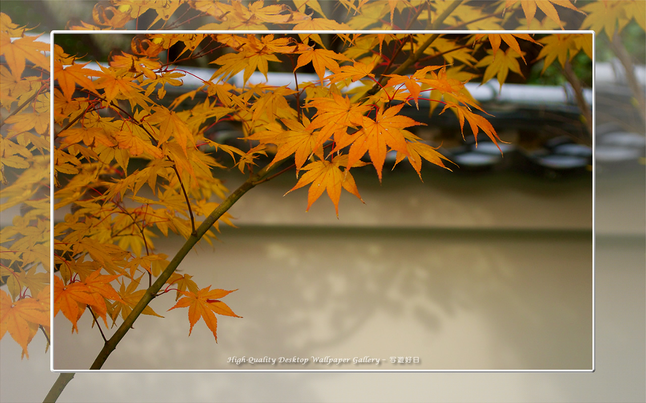 永観堂（１）の壁紙／Wallpaper of Kyoto in Autumn (1280×800)
