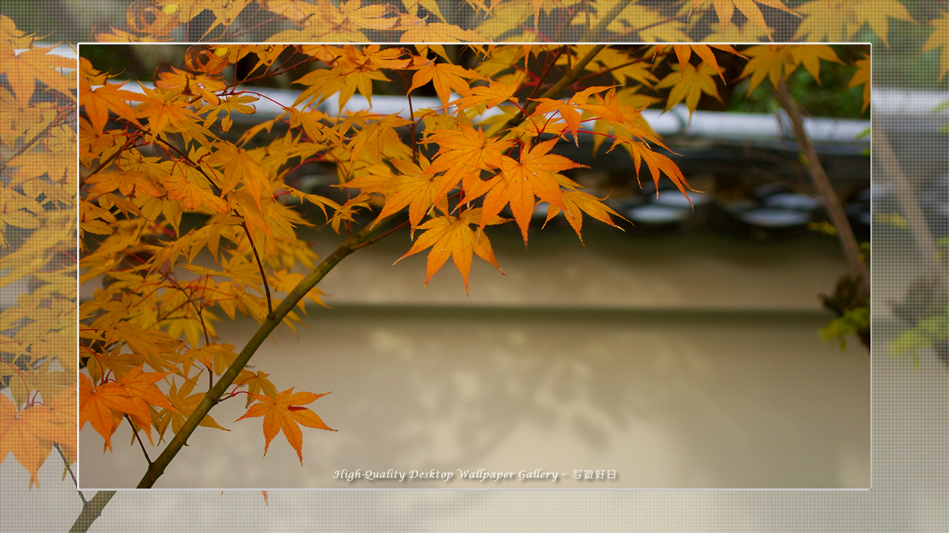 永観堂（１）の壁紙／Wallpaper of Title in Kyoto in Autumn (1366×768)