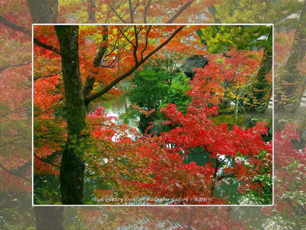 永観堂（２）の壁紙／Wallpaper of Kyoto in Autumn (1024×768)