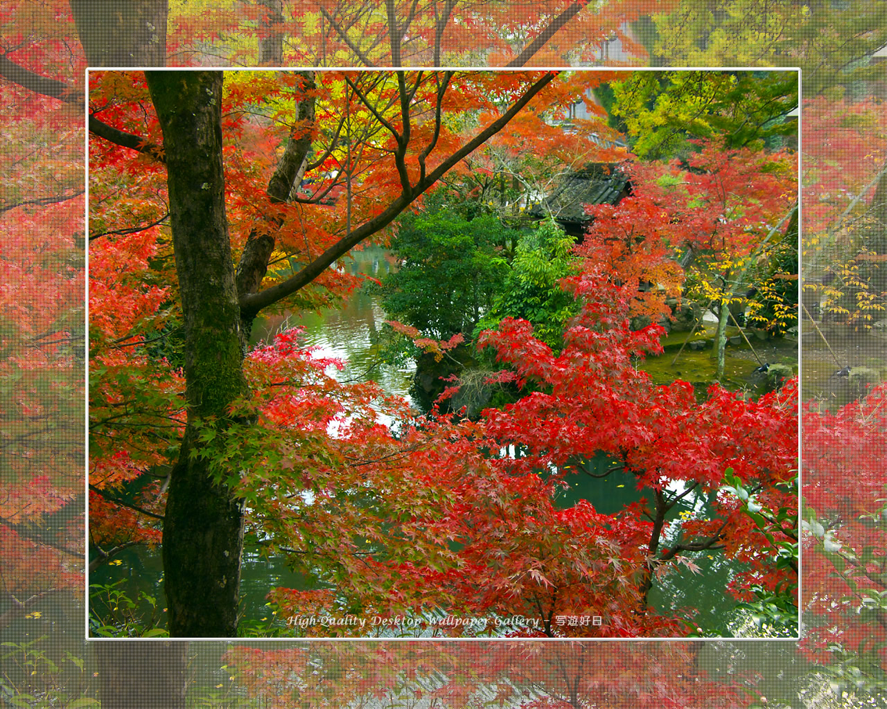 永観堂（２）の壁紙／Wallpaper of Kyoto in Autumn (1280×1024)