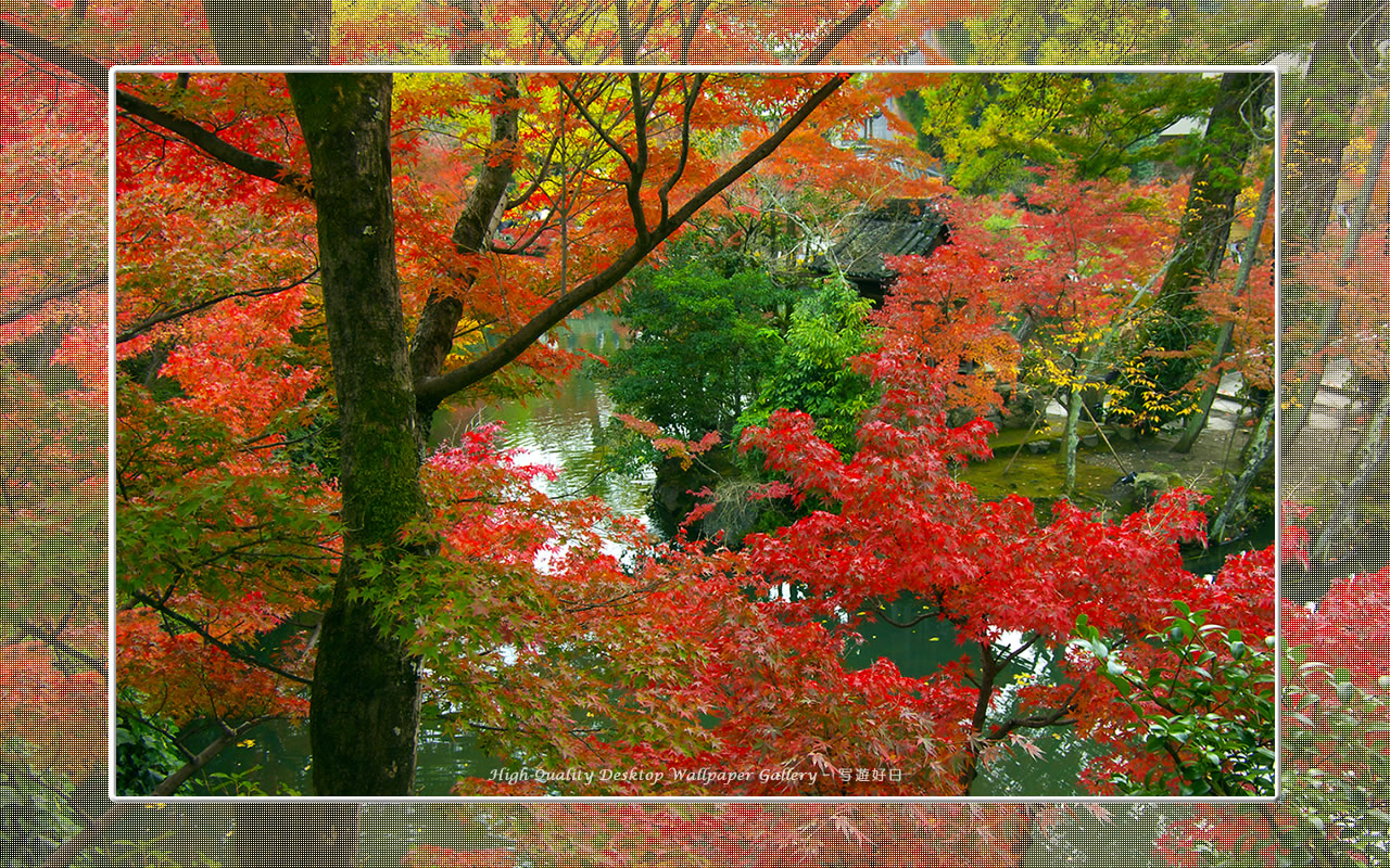 永観堂（２）の壁紙／Wallpaper of Kyoto in Autumn (1280×800)